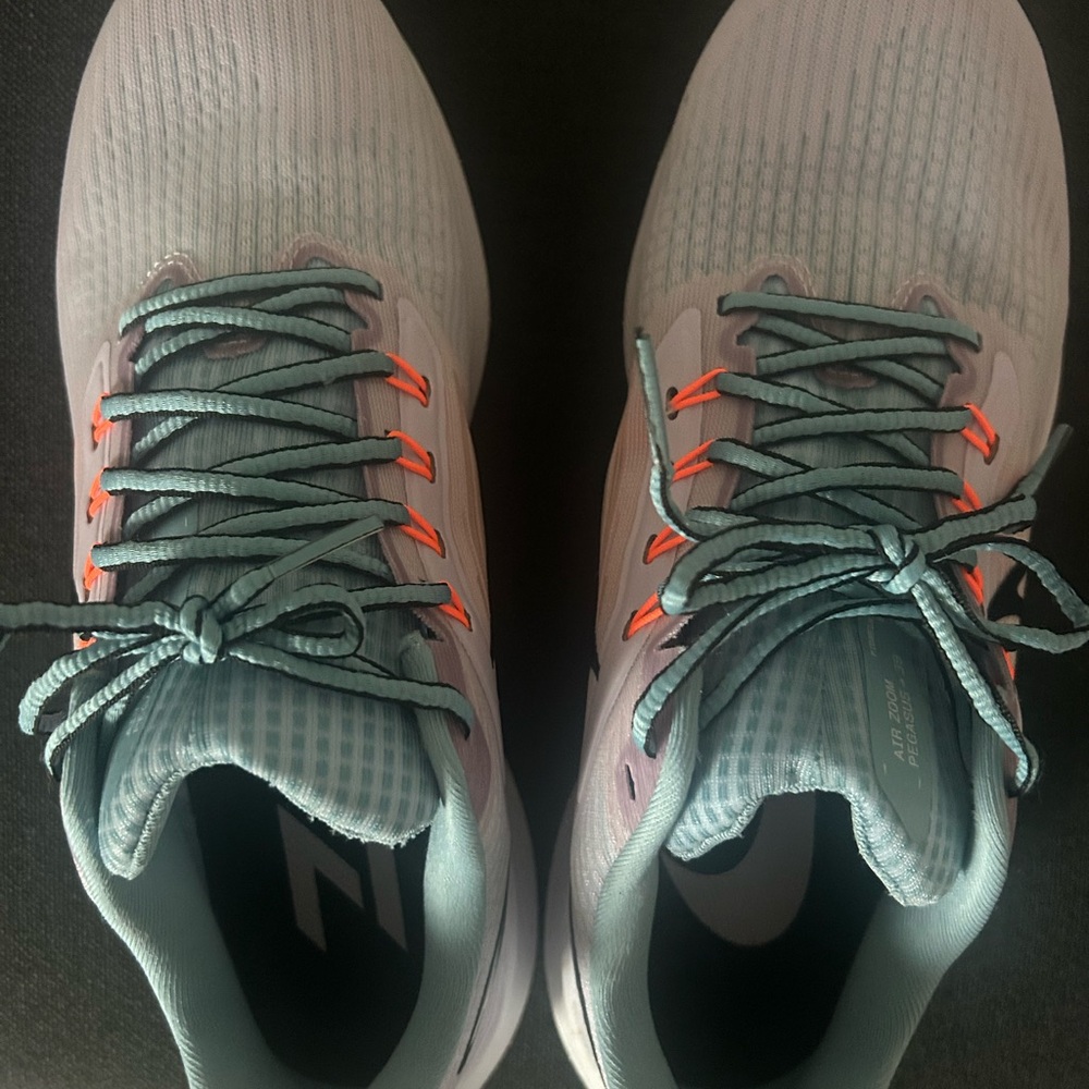 Nike Air Zoom Pegasus 39 in Blue and Orange